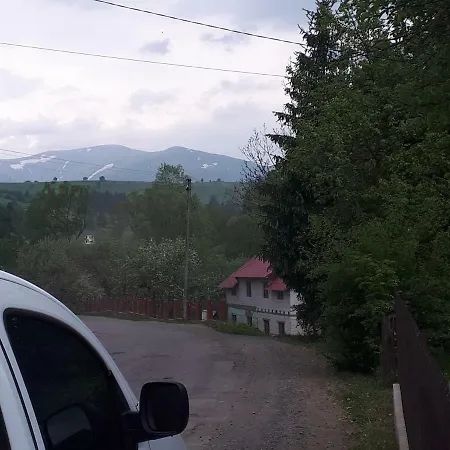 у виталика *